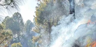 पाल्पाको देउराली र ख्याहाको सिमानामा मंगलबार अपराह्नदेखि डढेलो लागेको छ