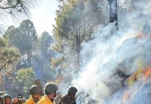 पाल्पाको देउराली र ख्याहाको सिमानामा मंगलबार अपराह्नदेखि डढेलो लागेको छ